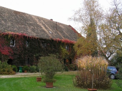 Photo: Mariannenhof Cafégarten